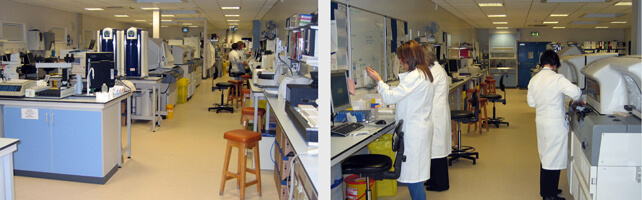 Pathology Laboratory adjacent to Cold Store